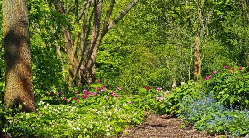 użyźnianie gleby gliniastej