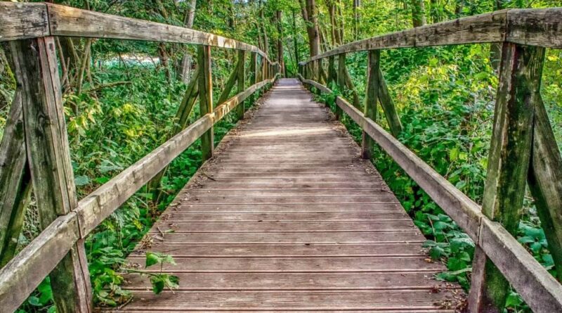 czym obłożyć schody wejściowe