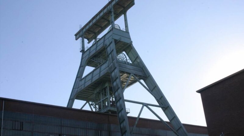 jak pająk buduje sieć