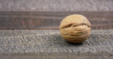 orzechy włoskie czym umyć ręce