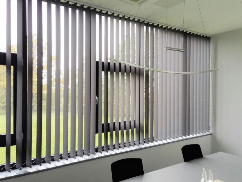 Dlaczego Rolis.pl to właściwy kierunek w Szczecinie